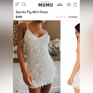 Show Me Your MuMu - Sparks Fly - silver beaded fringe dress